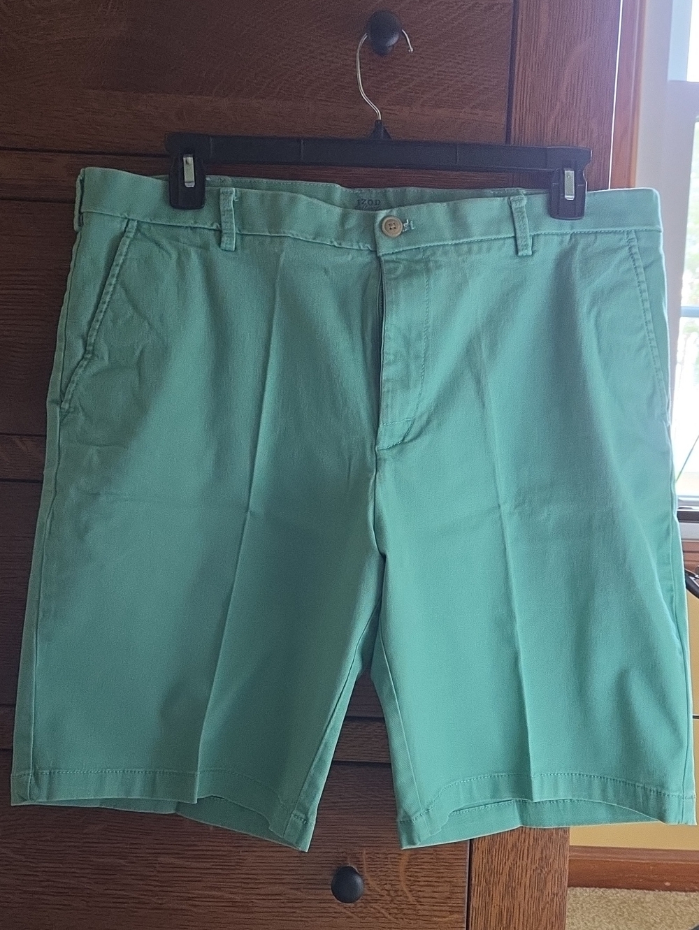 Men's Izod Saltwater Light Green Casual Shorts